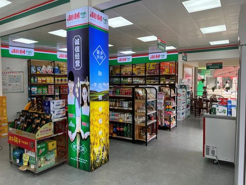 湖南漣源 多維賦能,繪就鄉村振興新畫卷