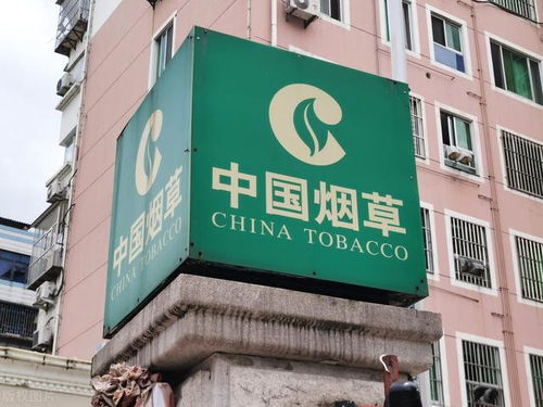 我,山東大學碩士畢業,入職山東煙草,透露薪資待遇